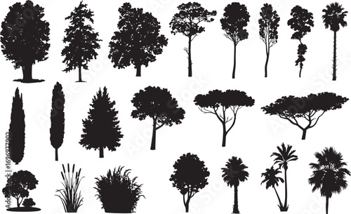 Tree Silhouette Vector Collection – Evergreen Pine, Oak, Fir, and Deciduous Forest Elements for Nature and Ecology Design