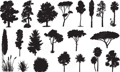Tree Silhouette Vector Collection – Evergreen Pine, Oak, Fir, and Deciduous Forest Elements for Nature and Ecology Design
