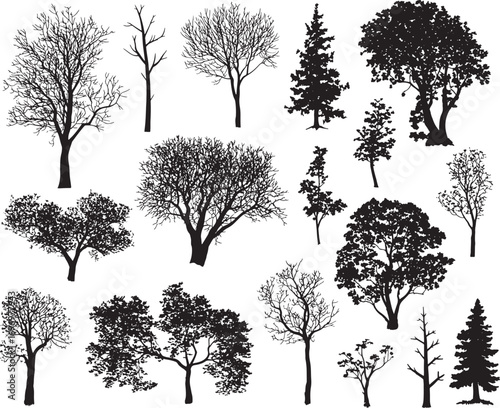 Tree Silhouette Vector Collection – Evergreen Pine, Oak, Fir, and Deciduous Forest Elements for Nature and Ecology Design