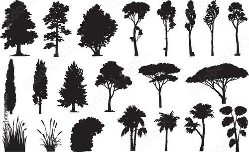 Tree Silhouette Vector Collection – Evergreen Pine, Oak, Fir, and Deciduous Forest Elements for Nature and Ecology Design