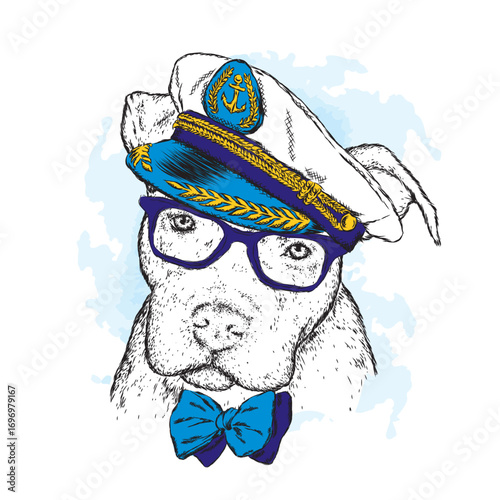 A pedigreed dog with glasses, a tie and a cap. Pitbull. Vector illustration. Captain, sailor.