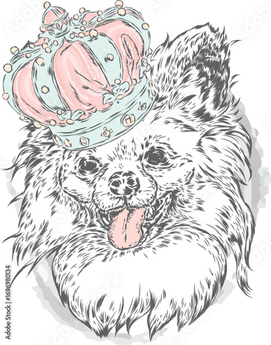 Pedigree dog.. A beautiful puppy in a crown. Vector illustration. Tiger and flowers.