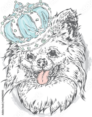 Pedigree dog.. A beautiful puppy in a crown. Vector illustration. Tiger and flowers.