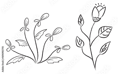 Simple floral line art design on white page