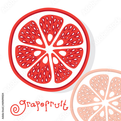grapefruit citrus fruits vector