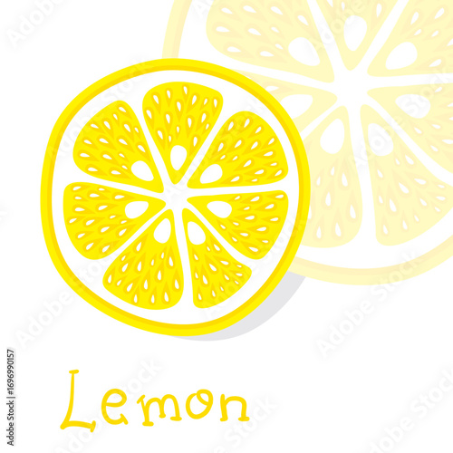 grapefruit citrus fruits vector