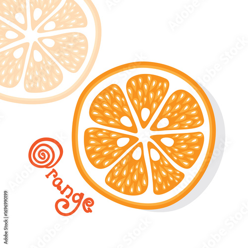 grapefruit citrus fruits vector