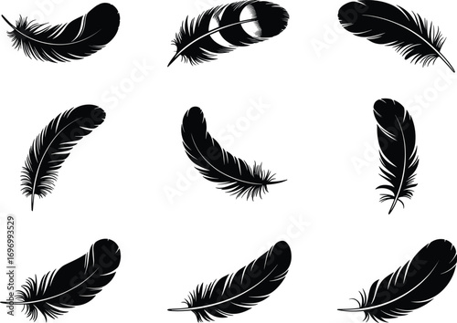 Black feather silhouette illustration set, decorative bird feathers in various shapes, soft plumage vector design for boho style, nature, tattoo, artistic decoration