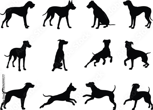 Vector illustration of dog silhouettes in different poses, standing, sitting, running, jumping, black animal outline design collection for pet, domestic animal artwork