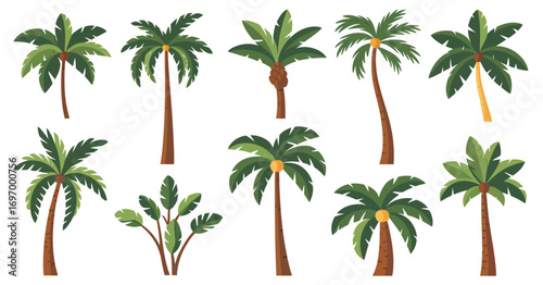 Cartoon Palm Tree and Banana Plant Vector Set – Colorful Tropical Illustration Collection