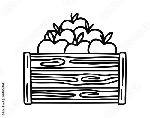 Wooden crate with red apples line art outline, monochrome hand drawn.
