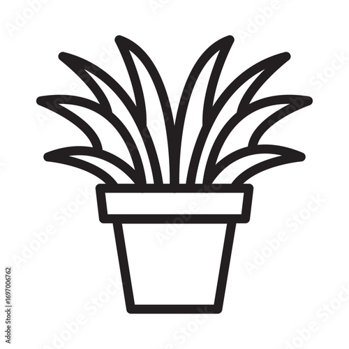 vector illustration of a cactus