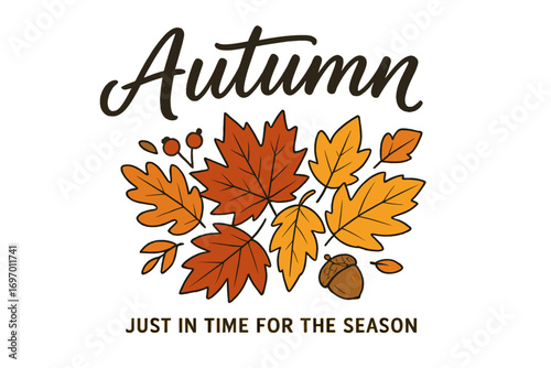A diverse array of autumn leaves descending over an autumn banner backdrop with seasonal lettering