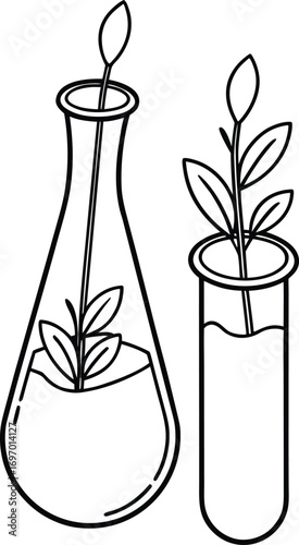 biology lab outline with plants in glass tubes.