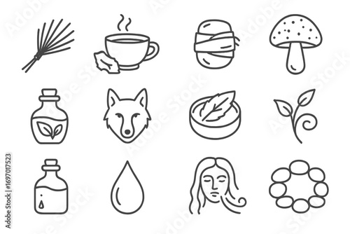 Forest Medicine Icons. Line style icons of forest medicine: pine needle bundle, bark tea icon, moss wrap, wild mushroom, forest