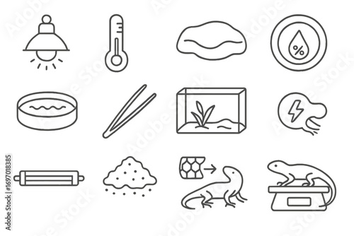 Reptile Rehab Icons. Line style icons of reptile rehabilitation: heat lamp, temperature gauge, basking rock, hydration tray,