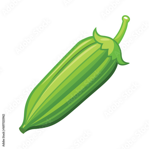 vector illustration of a cucumber