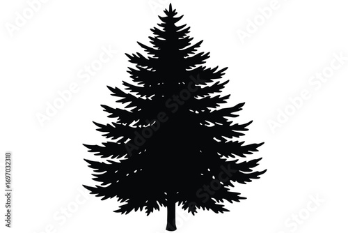 evergreen tree silhouette vector art