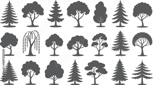 Set of tree silhouettes, various shapes and styles, pine, willow, and leafy trees for nature, gardening, outdoor design projects.