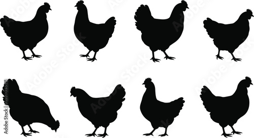 Hen silhouettes collection, farm chicken clipart, black poultry vector set, backyard animal illustration, rural bird shape design pack.