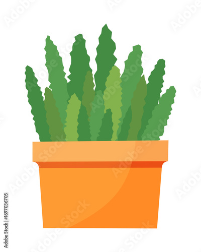 Bushy Green Houseplant With Serrated Leaves In Orange Pot Isolated on White Background