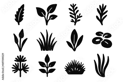 Wisteria vector moss leaf aquatic dwarf cryptocoryne stem cabomba icons water icon