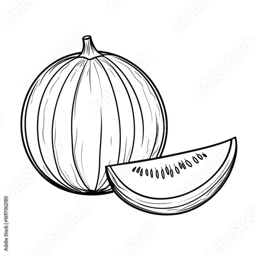 Fresh green melon fruit is the subject of this modern illustration, created as a continuous single line drawing
