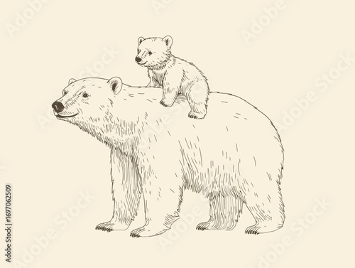 The bear family is outlined by a continuous single line, forming a linear contour of the animal