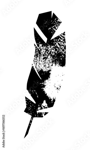 Vector Elegant black feather with textured details.