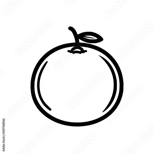 Orange fruit vector drawing outline illustration citrus fruit clip art healthy food simple design isolated 100