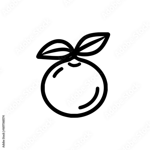 Orange fruit drawing vector illustration, healthy food, citrus fruit, vitamin c, fresh fruit, orange icon design