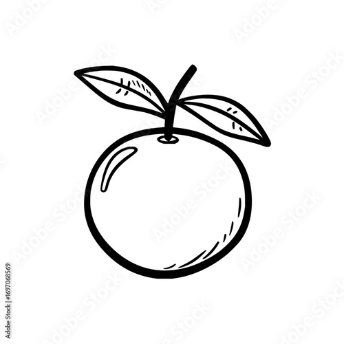 Illustration of a fresh orange fruit with leaves vector drawing for healthy food and vitamin c concept design