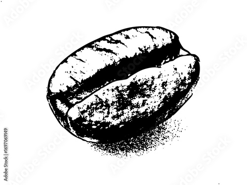 Vector Detailed of a single coffee bean.