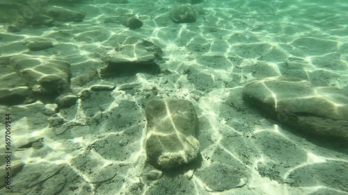 Underwater sea shot with swimming fish