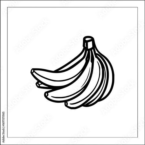 Banana bunch coloring page illustration vector drawing healthy fruit tropical food potassium rich snack design line art