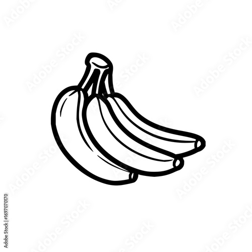 Banana fruit drawing vector illustration bunch of bananas tropical fruit healthy food potassium rich diet 100 characters