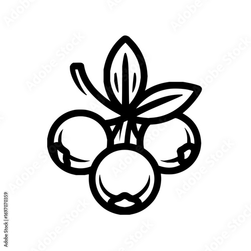 Black and white line art illustration of berries with leaves for food blog or nature themed design vector