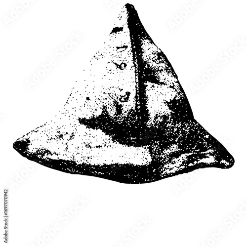 Vector Detailed of a conical seashell with textured surface.
