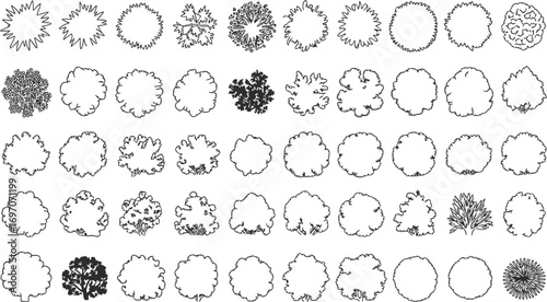 Collection of diverse top-view tree outlines for architectural or landscape design
