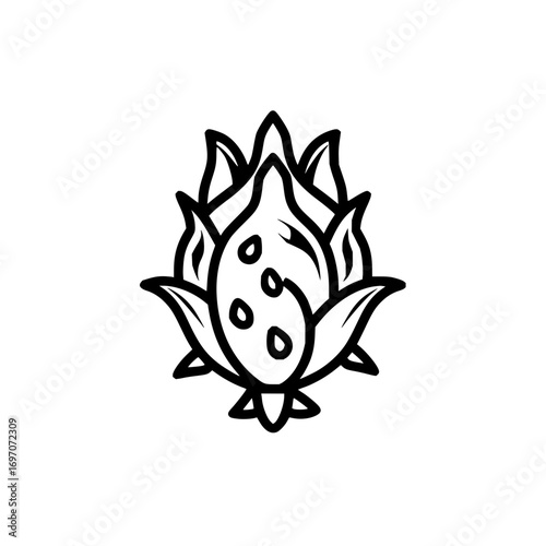 Vector dragon fruit illustration exotic tropical fruit pitaya outline drawing black and white design food art icon