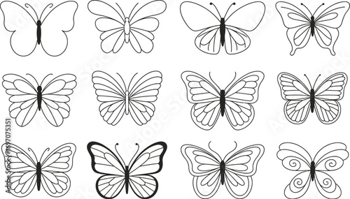Collection of diverse butterfly outlines in a clean, artistic arrangement