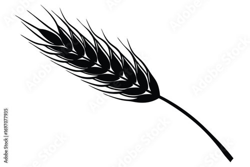 wheat stalk silhouette vector art design