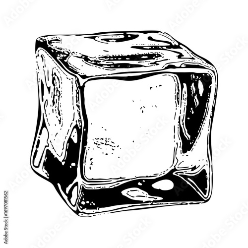 Vector Detailed of a single ice cube with reflective surfaces.