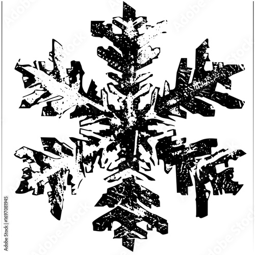 Vector Intricate snowflake features detailed crystalline structure.