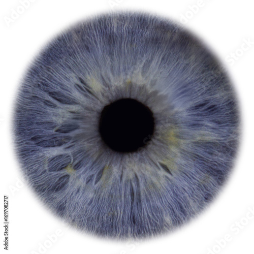 eye iris