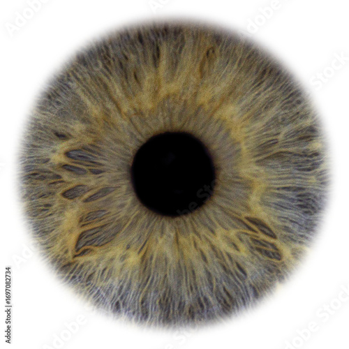 eye of the girl