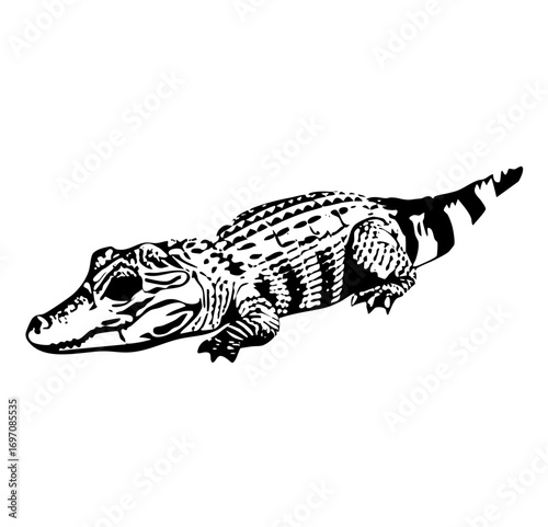 Vector Detailed of a reptile with textured scales and sharp teeth.