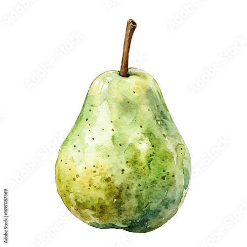 Pear, watercolor clipart vector, isolated on a white background.