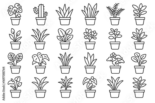 Cactus icon vector succulent peace indoor aloe palm potted fern plant