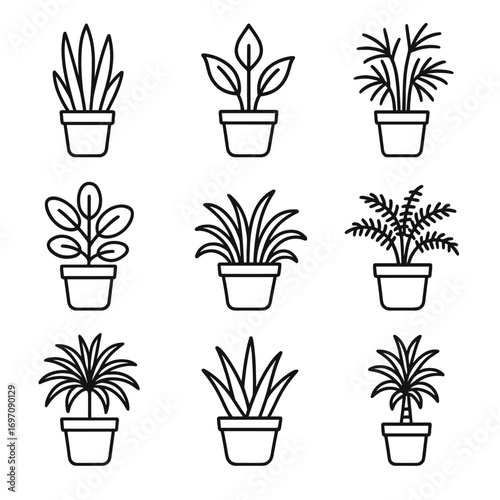 Fern potted rubber bamboo peace boston plant icon indoor palm icons vector